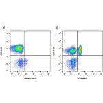CD4 Antibody | RPA-T4